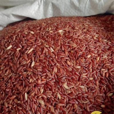 ফাইবার যুক্ত লাল চাউল